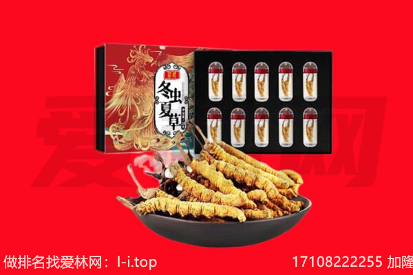 锡林郭勒回收虫草.jpg